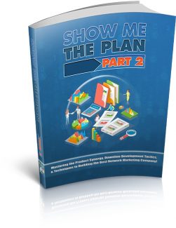 Show Me The Plan – Part 2 PLR Ebook
