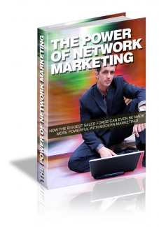 The Power Of Network Marketing PLR Ebook