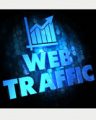 Traffic Generation Cheat Sheets Personal Use Template