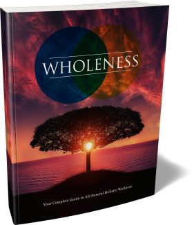 Wholeness MRR Ebook
