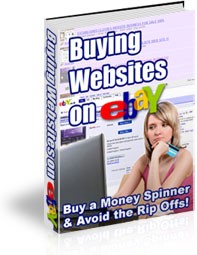 Buying Websites On EBay Mrr Ebook