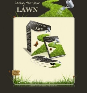 Caring For Your Lawn PLR Ebook With Resale Rights Minisite Template