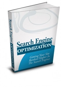 Search Engine Optimization Resale Rights Ebook With Audio & Video
