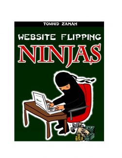 Website Flipping Ninjas Plr Ebook