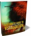 A Beginners Guide To Visualization MRR Ebook