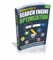 Beginners Guide To Search Engine Optimization Resale ...
