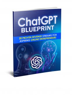 Chatgpt Blueprint PLR Ebook