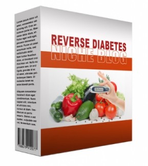New Reverse Diabetes Flipping Niche Blog Personal Use Template