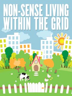 Non Sense Living Within The Grid MRR Ebook