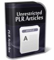 Your Own Online Magazine PLR Article