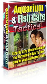Aquariam And Fish Care Tactics Plr Ebook