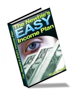 Newbie’s Easy Income Plan MRR Ebook