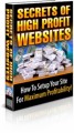 Secrets Of High Profit Websites PLR Ebook