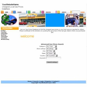 Gas Prices Database Personal Use Template