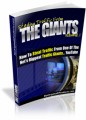 Stealing Traffic From The Giants V1 Mrr Ebook