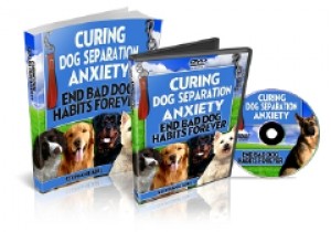 Curing Dog Separation Anxiety Plr Ebook With Audio & Video