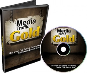 Media Traffic Gold Plr Video