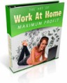 The Art Of Work At Home For Maximum Profits Plr Ebook