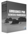 Ambiance Pro Genesis Framework Personal Use Template