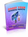 Boost Your Business Profits PLR Ebook