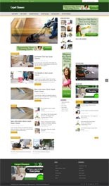 Carpet Cleaners Niche Blog Personal Use Template