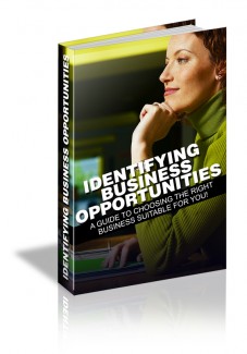 Identifying Business Opportunities MRR Ebook