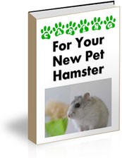 For Your New Pet Hamster MRR Ebook