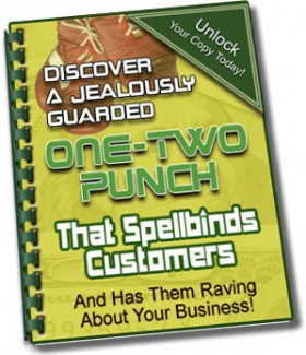 One-Two Punch That Spellbinds Customers MRR Ebook