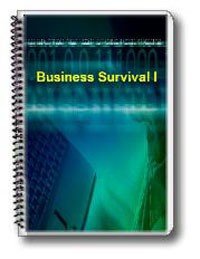 Survival Tips For Small Businesses PLR Ebook