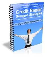 Credit Repair Success Strategies MRR Ebook