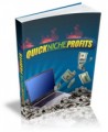 Quick Niche Profits Plr Ebook With Audio