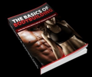 The Basics Of BodyBuilding Plr Ebook