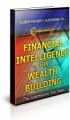 Financial Intelligence For Wealth Building Plr Ebook