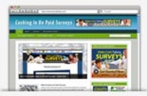 Paid Surveys Niche Blog Personal Use Template