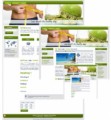 Weight Loss 01 – WP Theme Mrr Template