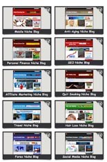10 Ready Made Niche Blogs Personal Use Template With Video