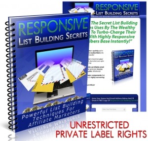 Responsive List Building Secrets Plr Ebook