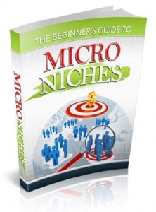 The Beginners Guide To Micro Niches Plr Ebook