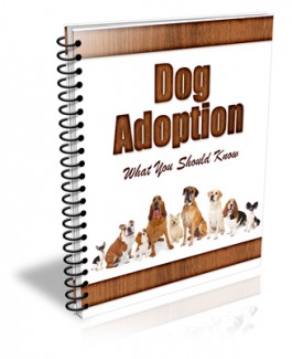 Dog Adoption Newsletter PLR Autoresponder Messages