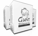 Giant Whiteboard Kit V2 Developer License Graphic With Video