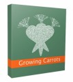 New Growing Carrots Niche Website V3 Personal Use Template 