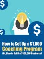 Set Up A Coaching Program PLR Ebook