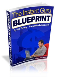 Instant Guru Blueprint MRR Ebook