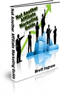 Not Another Affiliate Marketing Guide Plr Ebook