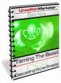 Taming The Beast - Cascading Style Sheets MRR Ebook