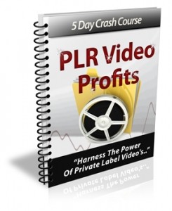 PLR Video Profits Plr Autoresponder Messages