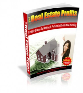 The Real Estate Profits Mrr Ebook
