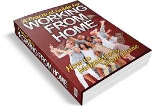 A Practical Guide For Working From Home Plr Ebook