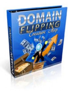 Domain Flipping Treasure Map Plr Ebook