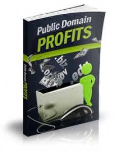 Public Domain Profits Mrr Ebook With Audio & Video